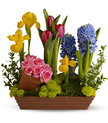 Spring Favorites from Arjuna Florist in Brockport, NY